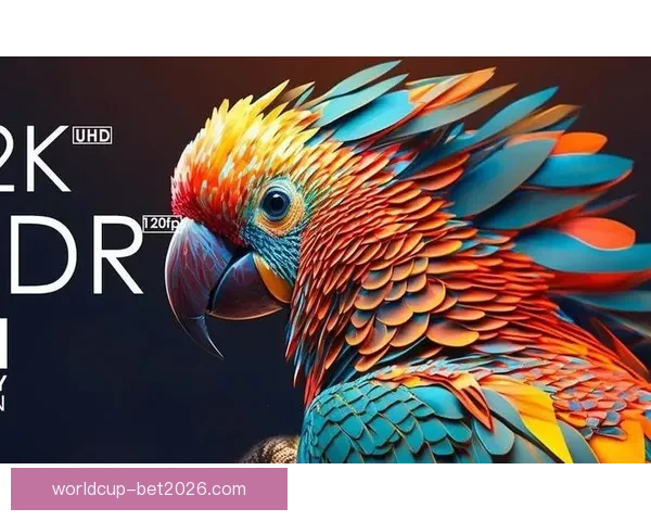 世界杯赛事全攻略解析与投注技巧全面指南让你轻松赢取竞猜收益